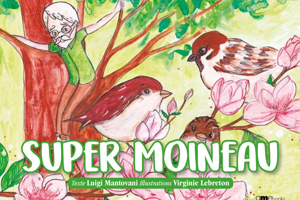 Super Moineau