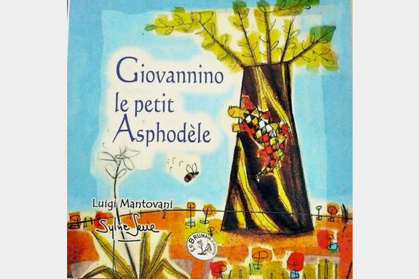 Le petit asphodèle