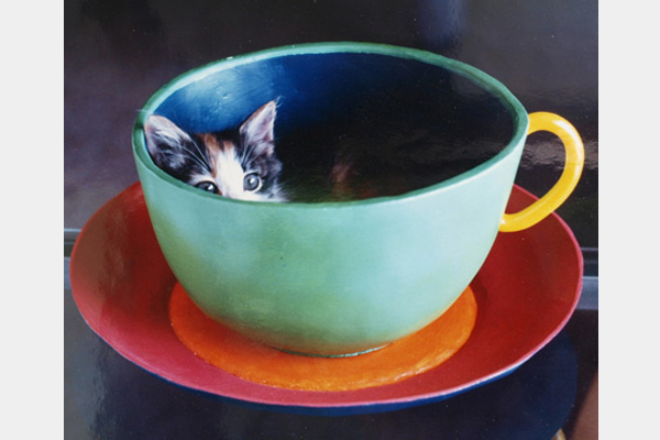 Cup Cat